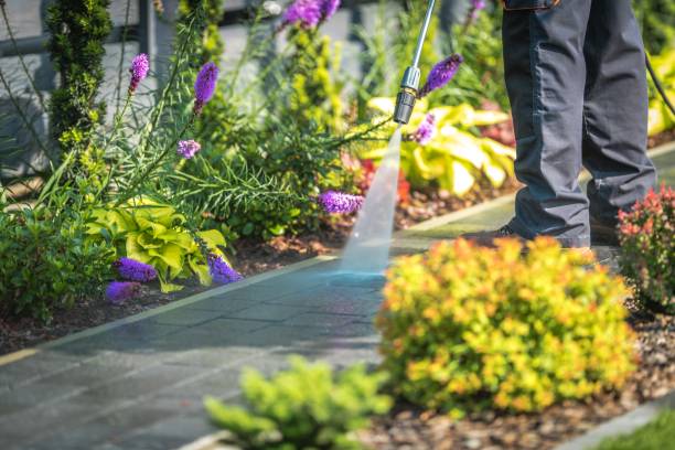 Best Sidewalk and Walkway Cleaning  in Hobart, OK